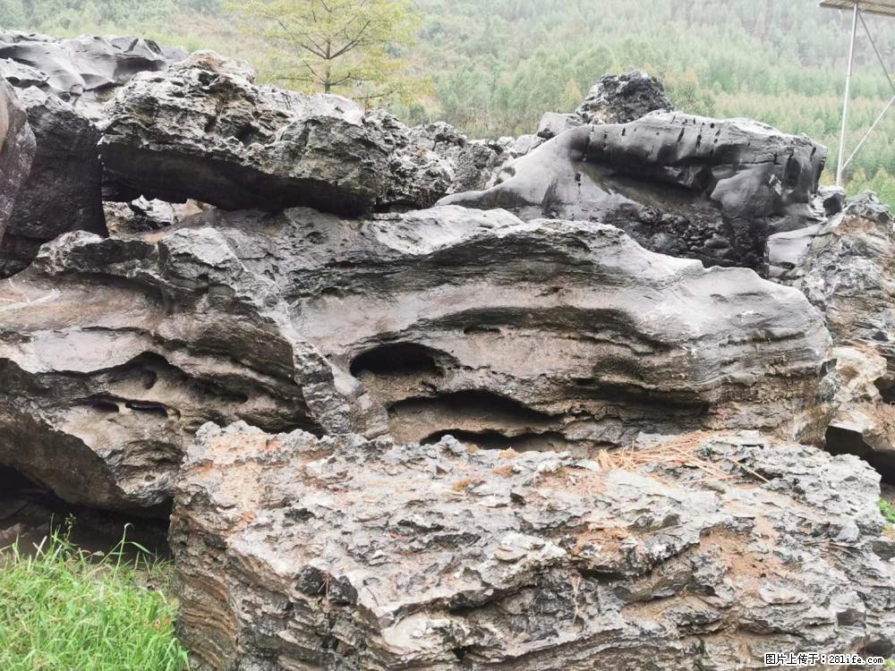 风景石、假山石大量有货，有需要的欢迎联系 - 新手上路 - 宿迁生活社区 - 宿迁28生活网 suqian.28life.net