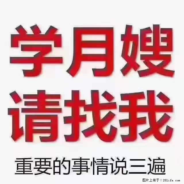 为什么要学习月嫂,育婴师? - 新手上路 - 宿迁生活社区 - 宿迁28生活网 suqian.28life.net