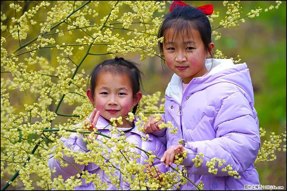 【春天，广西桂林灌阳县向您发出邀请！】米珠山前有片山苍子花在飘香 - 游山玩水 - 宿迁生活社区 - 宿迁28生活网 suqian.28life.net