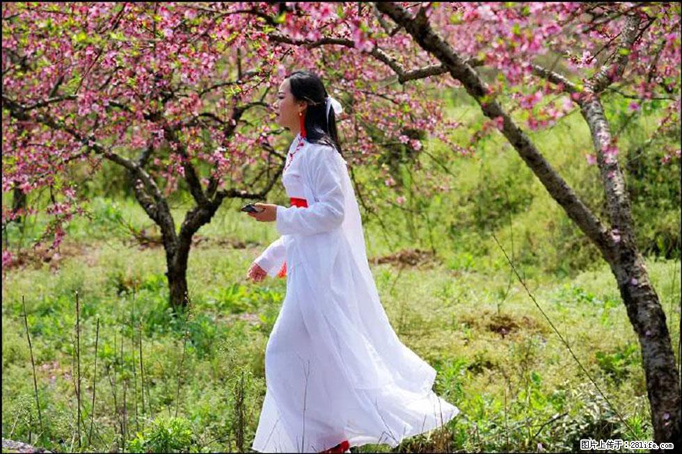 【春天，广西桂林灌阳县向您发出邀请！】官庄村有个醉美的桃花园 - 游山玩水 - 宿迁生活社区 - 宿迁28生活网 suqian.28life.net