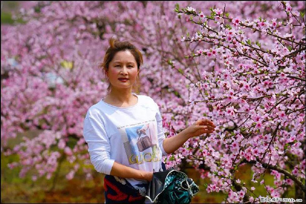 【春天，广西桂林灌阳县向您发出邀请！】官庄村有个醉美的桃花园 - 游山玩水 - 宿迁生活社区 - 宿迁28生活网 suqian.28life.net