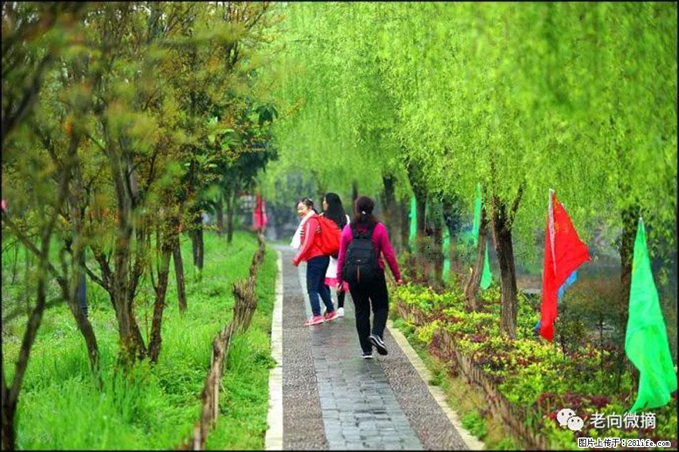 【春天，广西桂林灌阳县向您发出邀请！】江口老街又逢春 - 游山玩水 - 宿迁生活社区 - 宿迁28生活网 suqian.28life.net