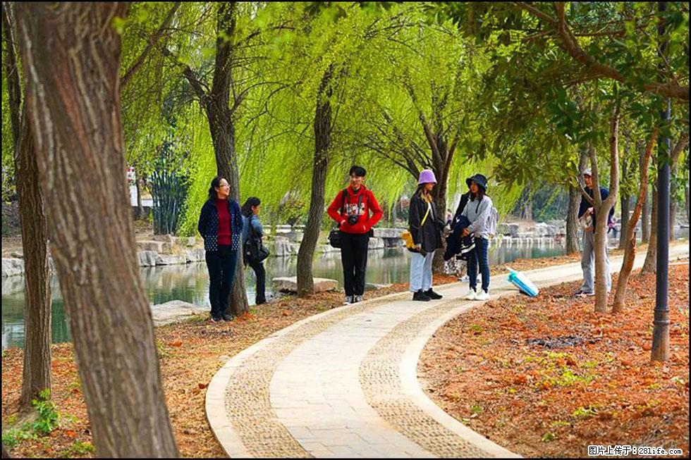 【春天，广西桂林灌阳县向您发出邀请！】江口老街又逢春 - 游山玩水 - 宿迁生活社区 - 宿迁28生活网 suqian.28life.net