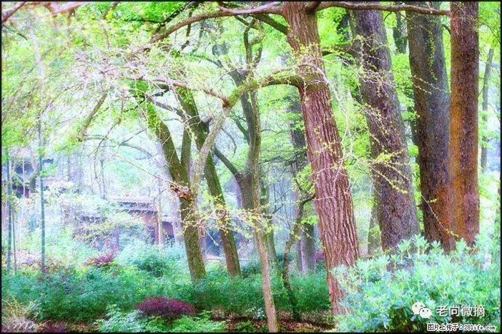 【春天，广西桂林灌阳县向您发出邀请！】在小龙村与春天约会 - 游山玩水 - 宿迁生活社区 - 宿迁28生活网 suqian.28life.net