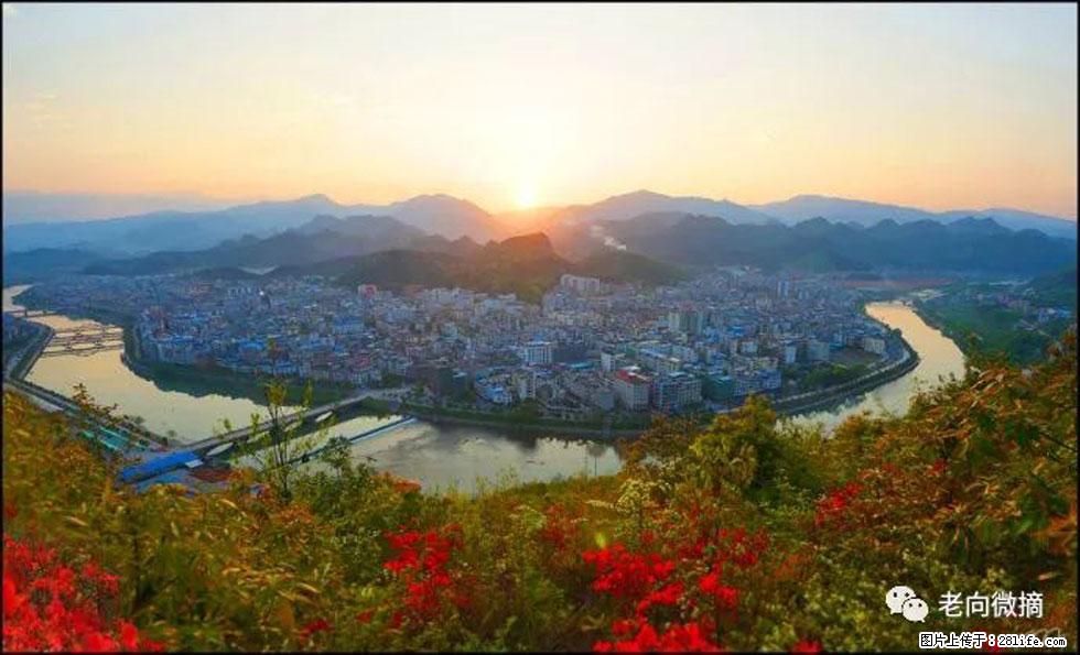 【春天，广西桂林灌阳县向您发出邀请！】登麒麟山，相约映山红 - 游山玩水 - 宿迁生活社区 - 宿迁28生活网 suqian.28life.net