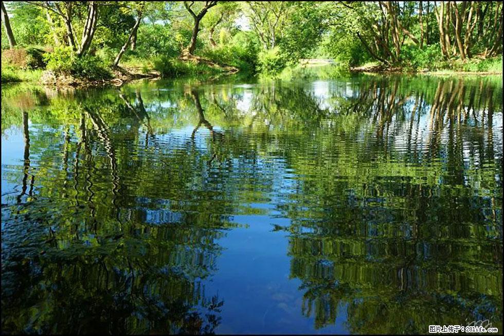 【春天，广西桂林灌阳县向您发出邀请！】熊家寨湿地公园 - 游山玩水 - 宿迁生活社区 - 宿迁28生活网 suqian.28life.net