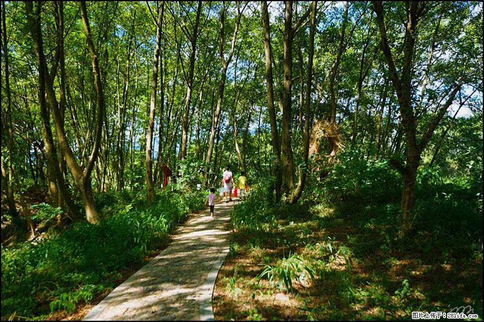 【春天，广西桂林灌阳县向您发出邀请！】熊家寨湿地公园 - 游山玩水 - 宿迁生活社区 - 宿迁28生活网 suqian.28life.net