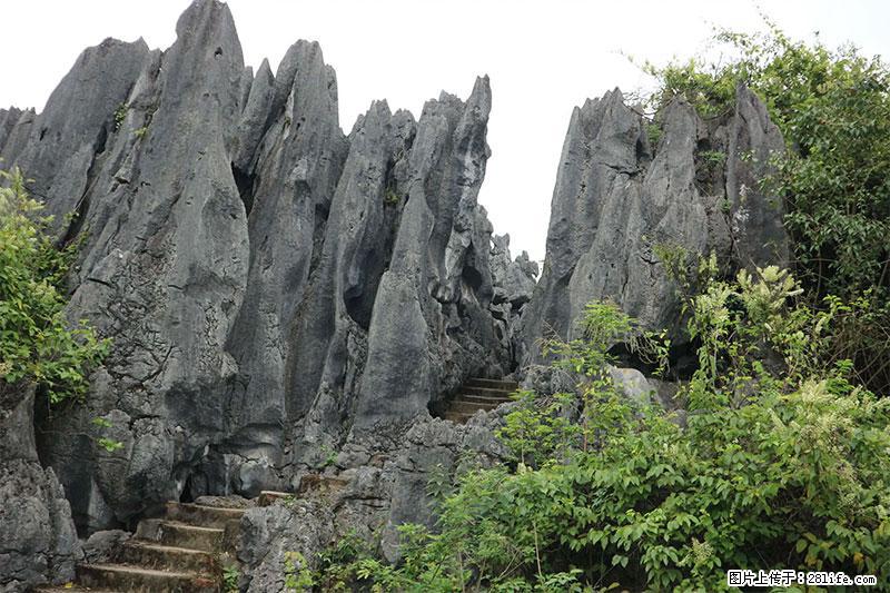 桂林旅游名城景点：灌阳文市石林 - 游山玩水 - 宿迁生活社区 - 宿迁28生活网 suqian.28life.net