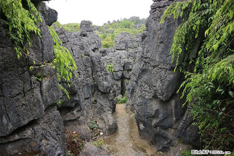 桂林旅游名城景点：灌阳文市石林 - 游山玩水 - 宿迁生活社区 - 宿迁28生活网 suqian.28life.net