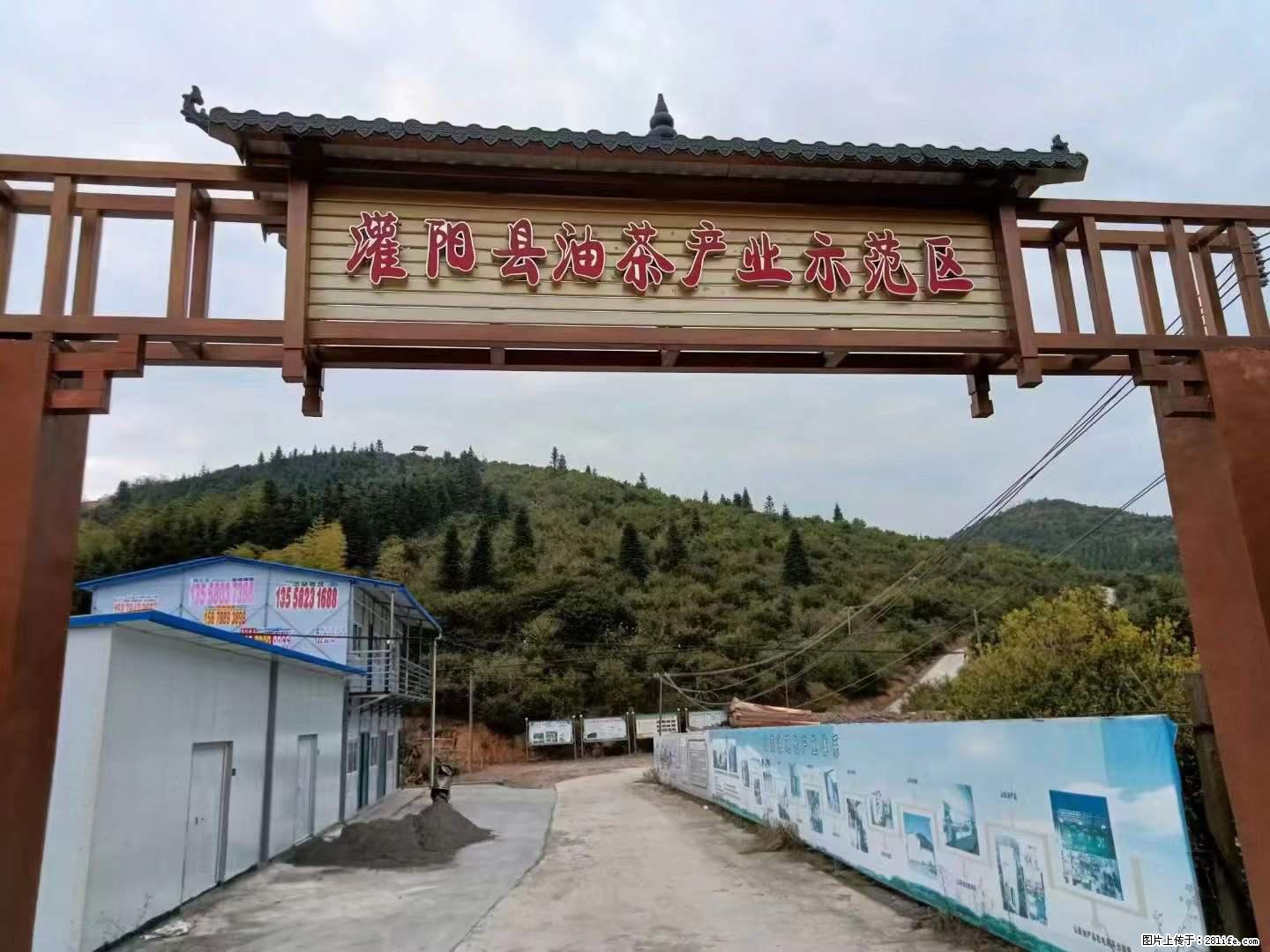 【灌阳县油茶产业示范区】一个有着充实的精神生活的人，对待身外之物自会有一种淡泊的态度 - 美食天地 - 宿迁生活社区 - 宿迁28生活网 suqian.28life.net