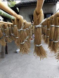 【灌阳正宗红薯粉】美女家里自己做的，干净卫生，假一赔十，价格合理，抢购电话：13737312895 - 宿迁28生活网 suqian.28life.net