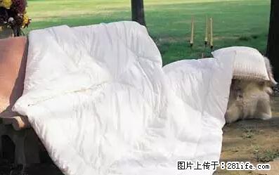 被子有异味？只要这样做，比晒太阳还强100倍！ - 家居生活 - 宿迁生活社区 - 宿迁28生活网 suqian.28life.net