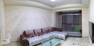 中豪国际花园精装修 两室两厅一卫 商贸城北侧 - 宿迁28生活网 suqian.28life.net