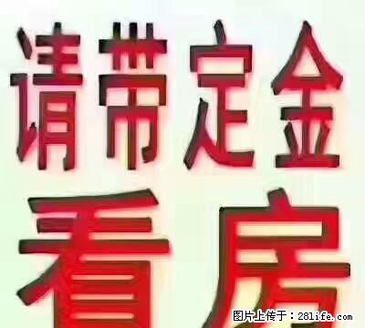 明日星城 两室两厅 简单装修 出租 - 房屋出租 - 房屋租售 - 宿迁分类信息 - 宿迁28生活网 suqian.28life.net