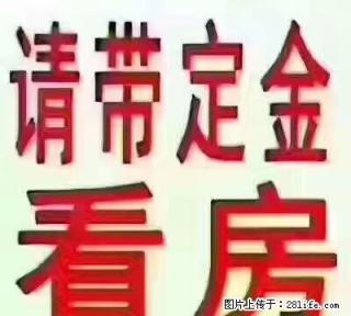 明日星城 两室两厅 简单装修 出租 - 宿迁28生活网 suqian.28life.net