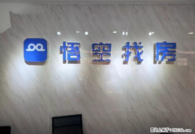 幸福路金柏年大厦16楼朝北单身公寓出租适合小情侣单身人士居住 - 房屋出租 - 房屋租售 - 宿迁分类信息 - 宿迁28生活网 suqian.28life.net