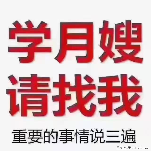 【招聘】月嫂，上海徐汇区 - 职场交流 - 宿迁生活社区 - 宿迁28生活网 suqian.28life.net