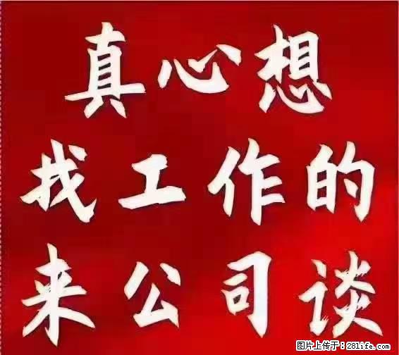 【上海】国企，医院招两名男保安，55岁以下，身高1.7米以上，无犯罪记录不良嗜好 - 职场交流 - 宿迁生活社区 - 宿迁28生活网 suqian.28life.net