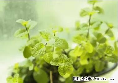 晕车、脚气、牙齿变黄、皮肤粗糙？学会这些三分钟搞定！ - 宿迁生活资讯 - 宿迁28生活网 suqian.28life.net