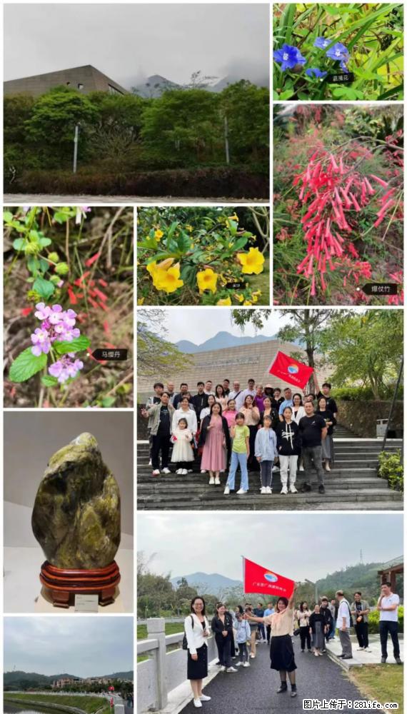 “粤灌文化 美好生活”油茶文化主题活动在广东深圳成功举办 - 宿迁生活资讯 - 宿迁28生活网 suqian.28life.net
