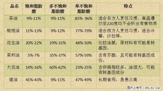 揭秘茶油的5大核心营养成分！被称为人体健康的“守护盾”！ - 宿迁生活资讯 - 宿迁28生活网 suqian.28life.net