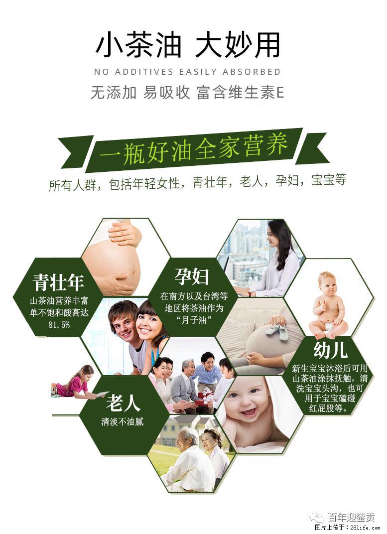 世界没有真相，只有认知，最好的食用油是中国的山茶油！ - 宿迁生活资讯 - 宿迁28生活网 suqian.28life.net