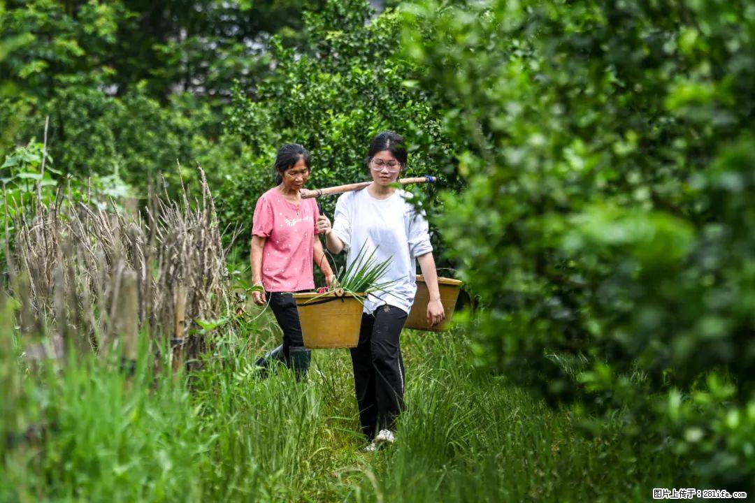 全网追的“扁担女孩”，找了一份暑假工，时薪12元 - 宿迁生活资讯 - 宿迁28生活网 suqian.28life.net