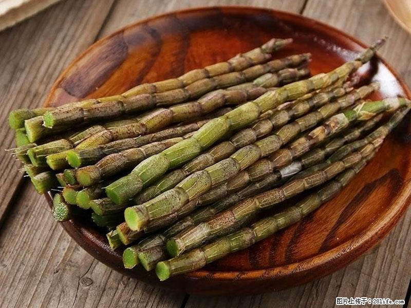 铁皮石斛的作用与功能主治 - 宿迁生活资讯 - 宿迁28生活网 suqian.28life.net
